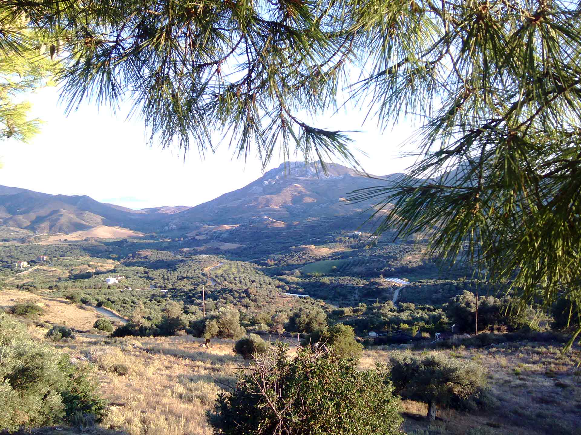 Montagne de Crête